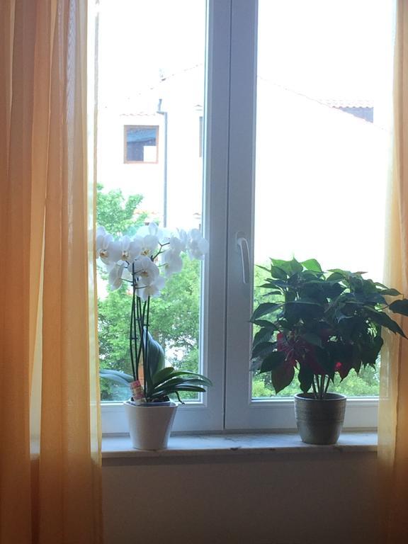 Apartman Snjezana Malinska Dış mekan fotoğraf
